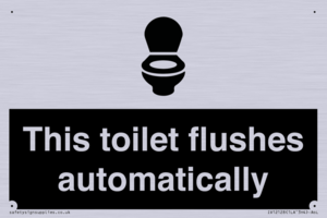 This toilet flushes automatically